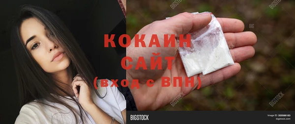 jwh Сясьстрой