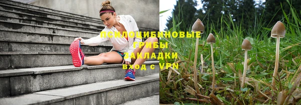 ешки Белая Холуница