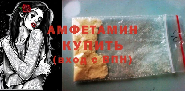 шишки Анива